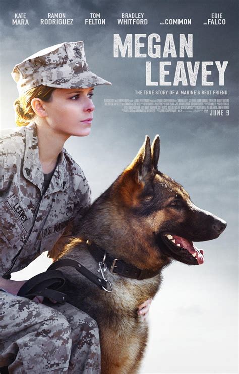 pelicula megan torrent|Megan.Leavey.2017.1080p.WEB